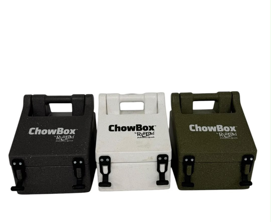 Chow Box - Image 3